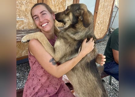 Pedro - Sonnenschein sucht Zuhause