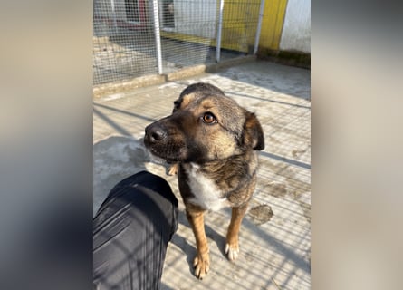 Joly sucht seine Person zum Ankommen