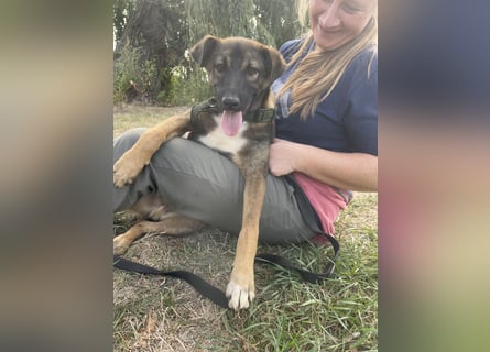Joly sucht seine Person zum Ankommen