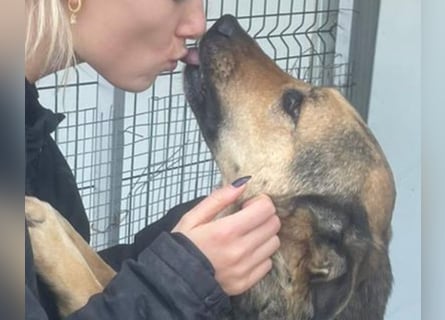 Kuschelmaus Raya - auf PS in Bayern (86576)