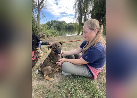Joly sucht seine Person zum Ankommen