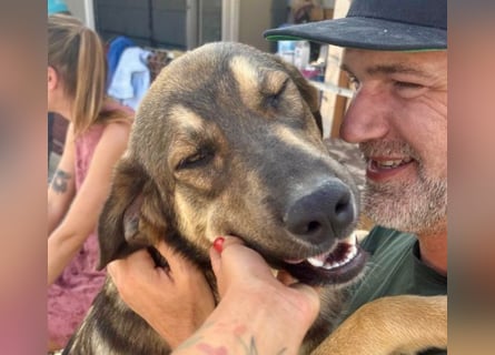 Pedro - Sonnenschein sucht Zuhause