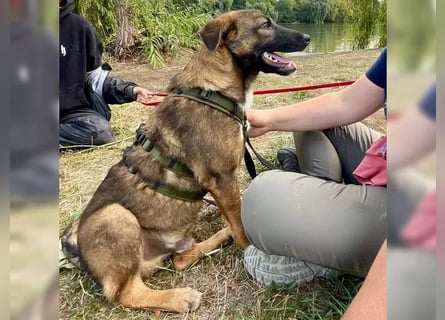 Joly sucht seine Person zum Ankommen