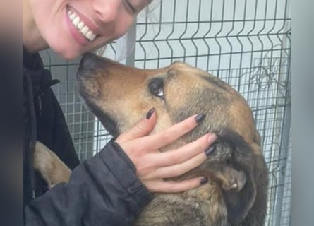 Kuschelmaus Raya - auf PS in Bayern (86576)