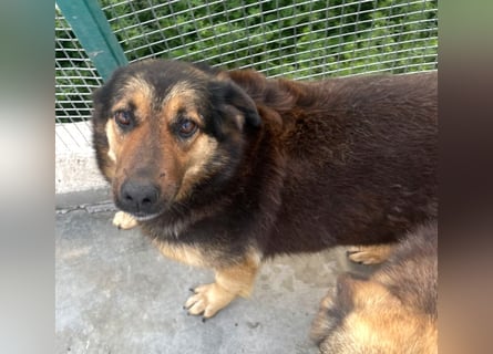 Kuschelmaus Raya - auf PS in Bayern (86576)