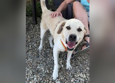 Max - seeehr verschmust u. lieb!