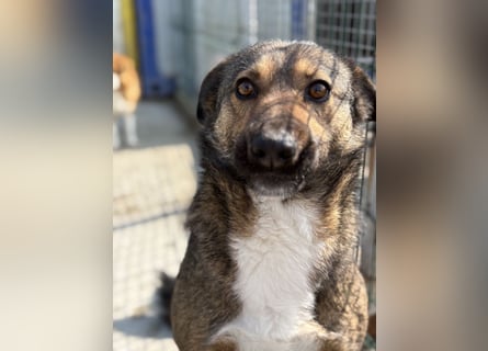 Joly sucht seine Person zum Ankommen