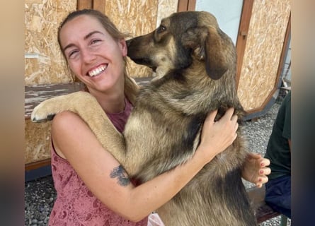 Pedro - Sonnenschein sucht Zuhause