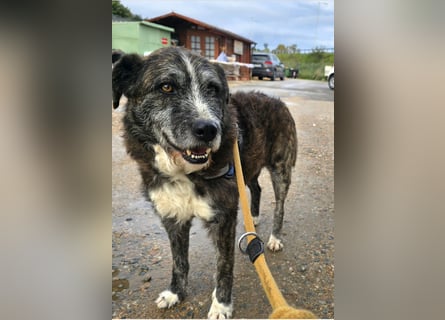 Luke: probiers mal mit Gemütlichkeit