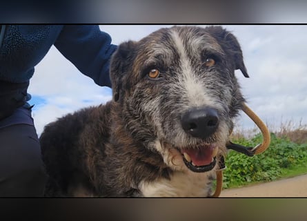 Luke: probiers mal mit Gemütlichkeit