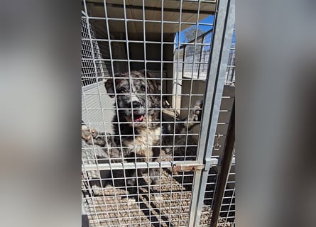 Luke: probiers mal mit Gemütlichkeit