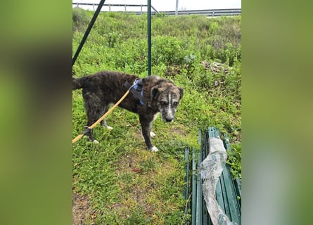 Luke: probiers mal mit Gemütlichkeit