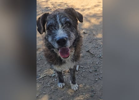 Luke: probiers mal mit Gemütlichkeit