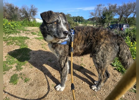 Luke: probiers mal mit Gemütlichkeit