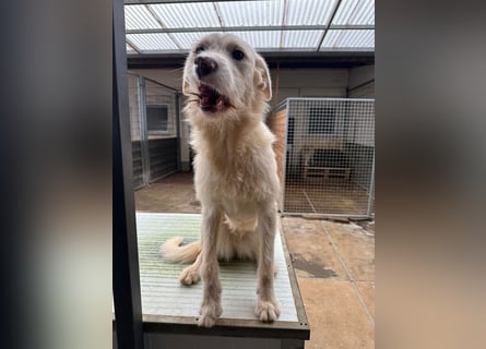 Die lebhafte Lumi sucht ihre Familie