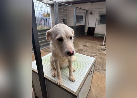 Die lebhafte Lumi sucht ihre Familie