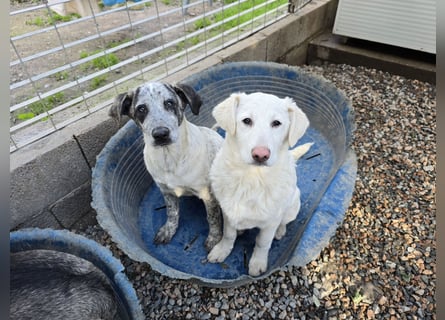Clarita: freut sich auf Besuch in Schermbeck