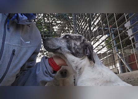 Clarita: freut sich auf Besuch in Schermbeck