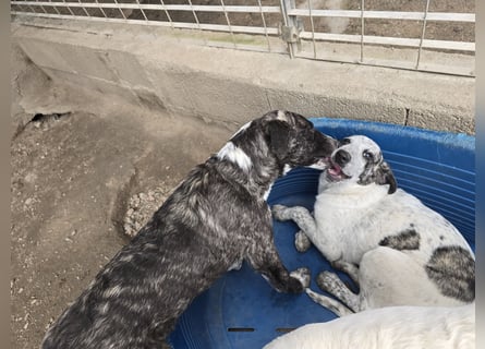 Clarita: freut sich auf Besuch in Schermbeck