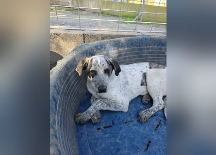 Clarita: freut sich auf Besuch in Schermbeck