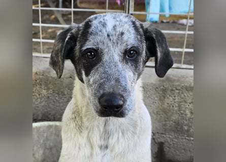 Clarita: freut sich auf Besuch in Schermbeck