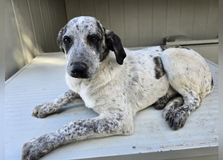 Clarita: freut sich auf Besuch in Schermbeck