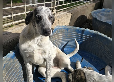 Clarita: freut sich auf Besuch in Schermbeck