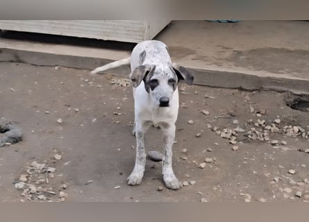 Clarita: freut sich auf Besuch in Schermbeck