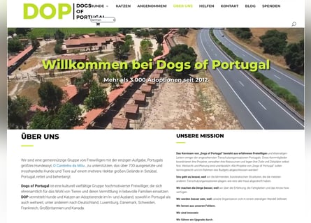 ! PFLEGESTELLEN • für Hunde aus Portugal • GESUCHT !