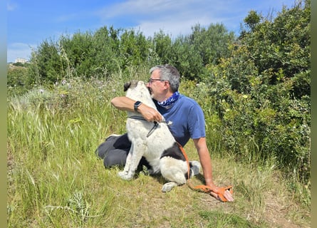 Cassian: er liebt spielen und kuscheln