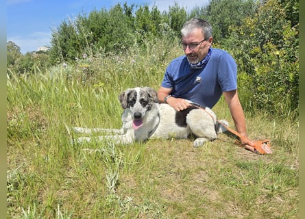 Cassian: er liebt spielen und kuscheln