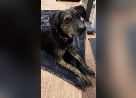 Nocino wartet in München