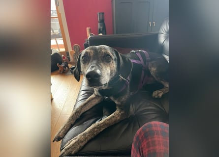 Nocino wartet in München