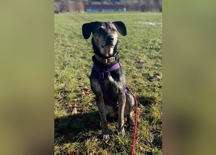 Nocino wartet in München