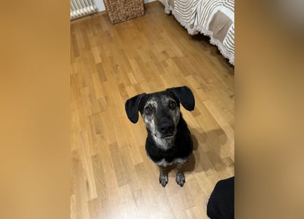 Nocino wartet in München