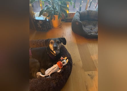 Nocino wartet in München