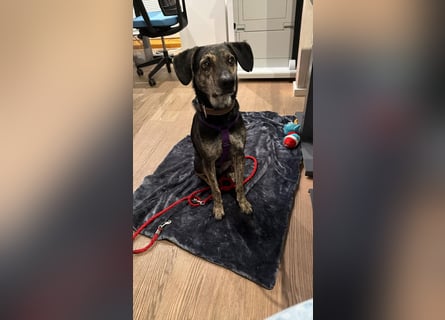 Nocino wartet in München