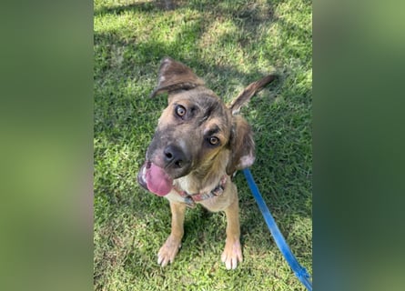 Luca: wer hat Lust, ihm das Leben zu zeigen?