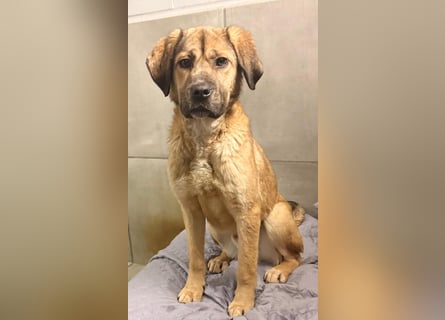 Luca: wer hat Lust, ihm das Leben zu zeigen?