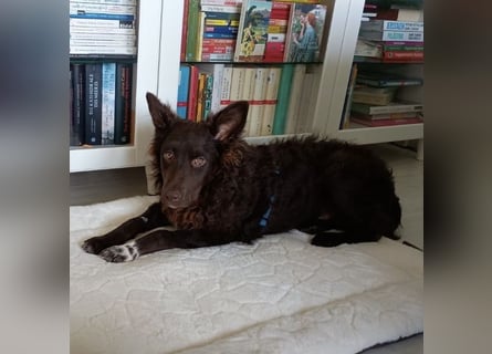 Neo ein besonderer Schatz