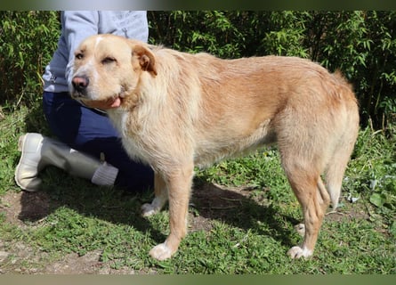 Moony ❤️ Gemütlich und Katzenfreundlich