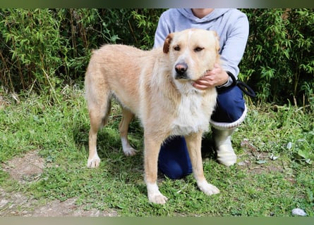 Moony ❤️ Gemütlich und Katzenfreundlich
