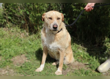 Moony ❤️ Gemütlich und Katzenfreundlich