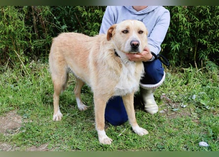Moony ❤️ Gemütlich und Katzenfreundlich