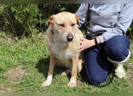 Moony ❤️ Gemütlich und Katzenfreundlich