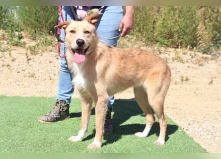 Moony ❤️ Gemütlich und Katzenfreundlich