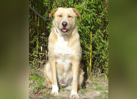 Moony ❤️ Gemütlich und Katzenfreundlich