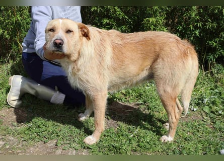 Moony ❤️ Gemütlich und Katzenfreundlich