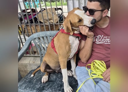 Gregorio - junger dynamischer Wirbelwind