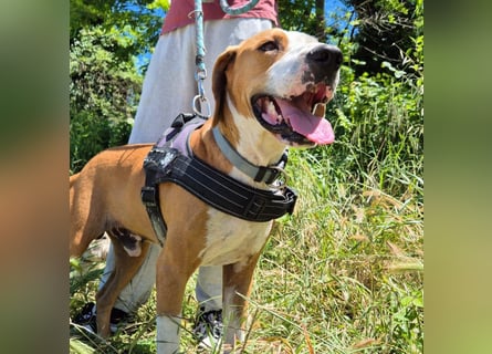 Gregorio - junger dynamischer Wirbelwind